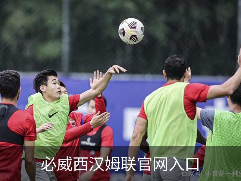 必威西汉姆联官网入口简介